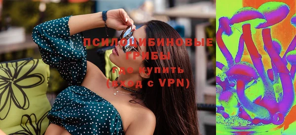 стаф Беломорск